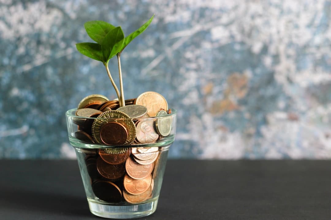 Business vehicle wraps provide investment benefits Plant growing from pot of coins
