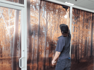 ap graphics flat glass installer completing installation of dusted crystal window graphic installation with image of birch wood trees in autumn