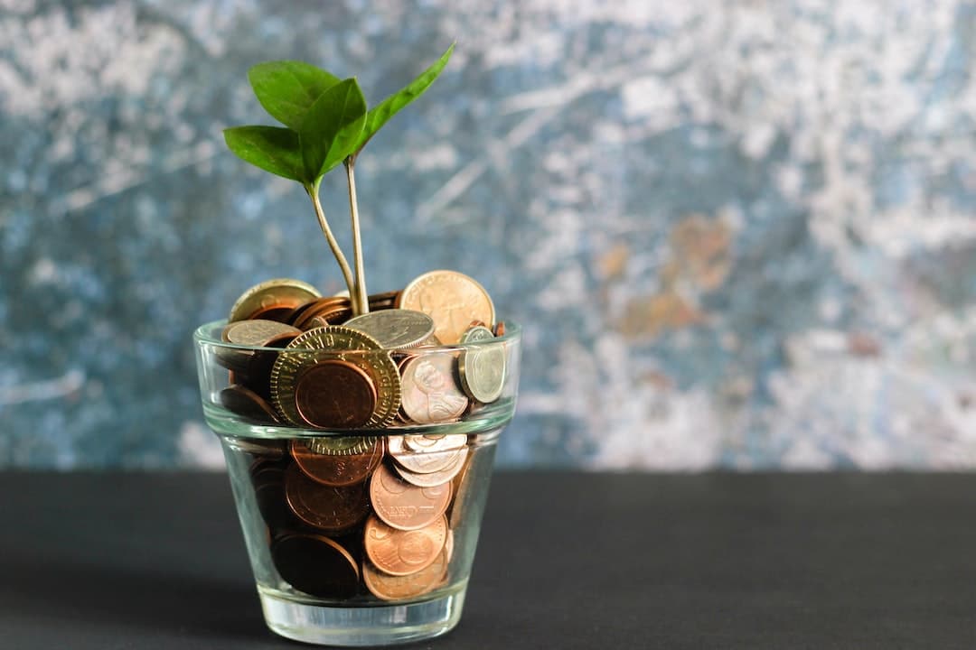Plant growing from pot of coins