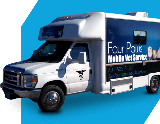 07 Four Paws Mobile Vet
