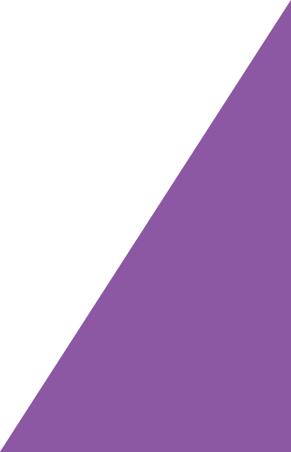 bigPurplerOverlay bigPurplerOverlay