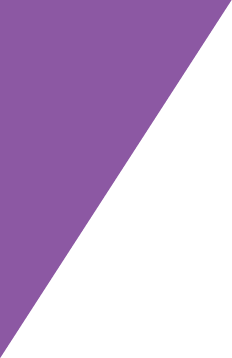 purpleOverlay