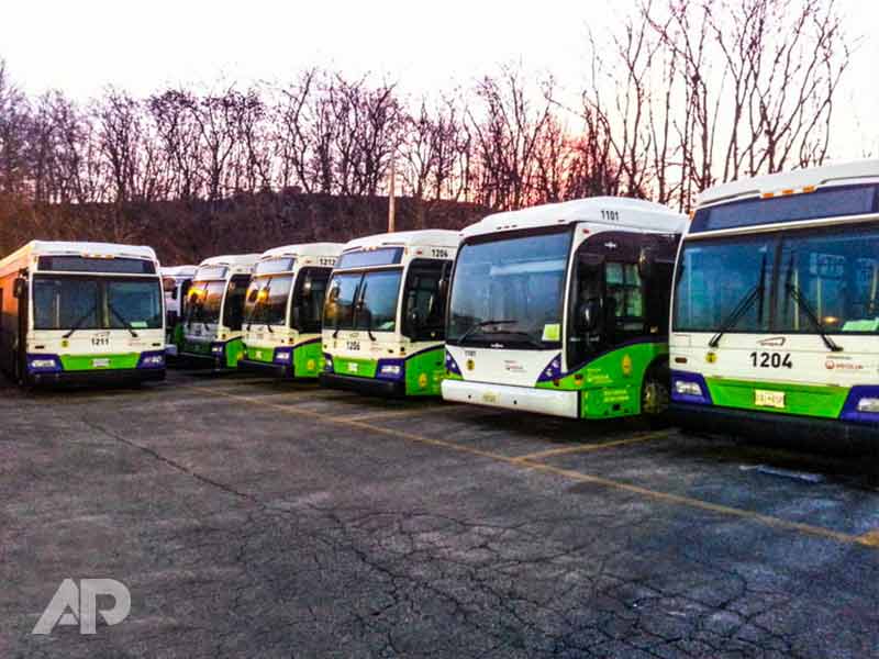Charm City Circulator bus wrap designs in Baltimore