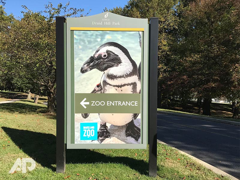 wayfinding signage