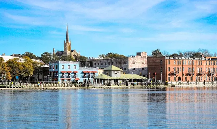 North Carolina Vehicle & Graphics Wrap Services North Carolina vehicle and graphics wrap services by AP Wraps