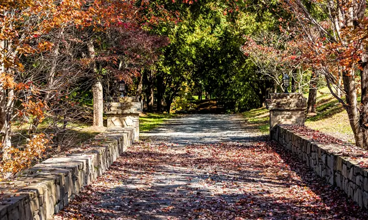 Northern Virginia Vehicle & Graphics Wrap Services Northern Virginia vehicle and graphics wrap services by AP Wraps