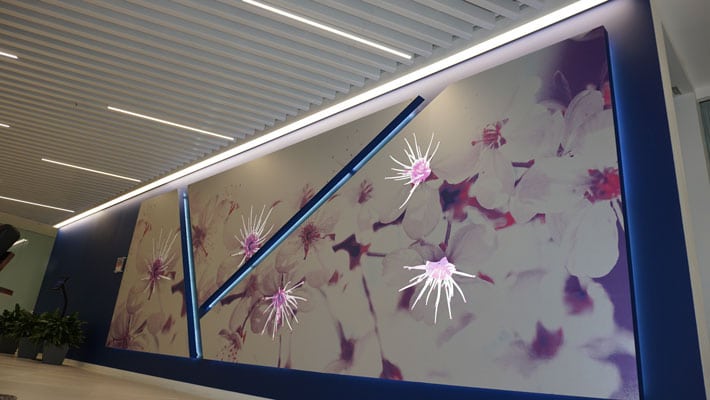Durable custom wall graphics for long-lasting indoor and outdoor use