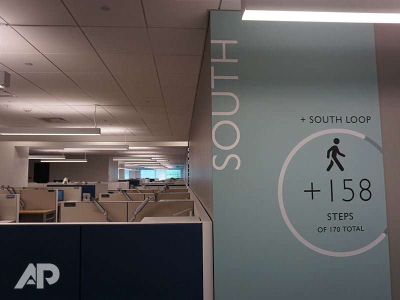 Light blue Johns Hopkins wall mural design in healthcare