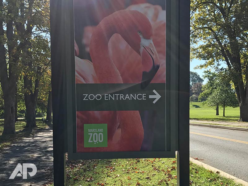 Maryland Zoo entrance directional signage pointing right