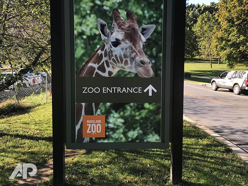 Maryland Zoo entrance directional signage pointing straight