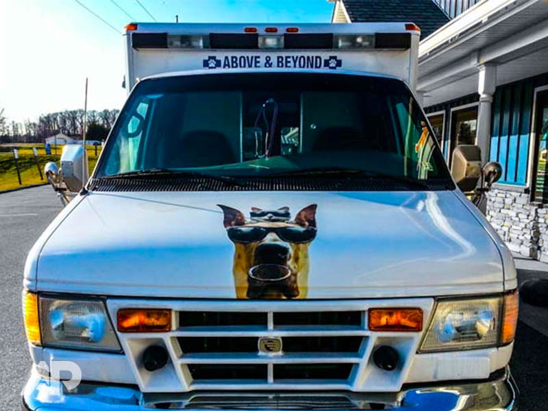 Mobile Vet Ambulance Wrap Front View